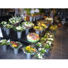 bloemen bezorgen oldebroek florist hattemerbroek flower delivery hattemerbroek bloemen bezorgen oldebroek florist hattemerbroek flower delivery hattemerbroek