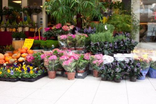bloemen goirle flurosa bezorgt in de regio tilburg regiobloemist bloemen goirle flurosa bezorgt in de regio tilburg regiobloemist