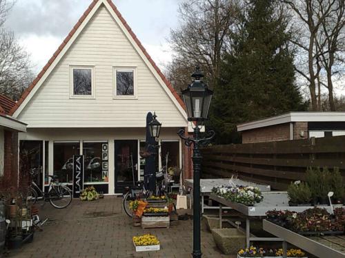 bloemen bezorgen hoofddorp morgen bloemenhuis annie uit havelte regiobloemist bloemen bezorgen hoofddorp morgen bloemenhuis annie uit havelte regiobloemist