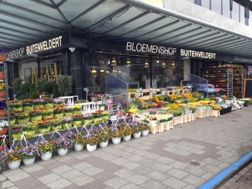 bloemen bezorgen dordrecht bloemen bezorgen rotterdam bloemen bezorgen dordrecht bloemen bezorgen rotterdam