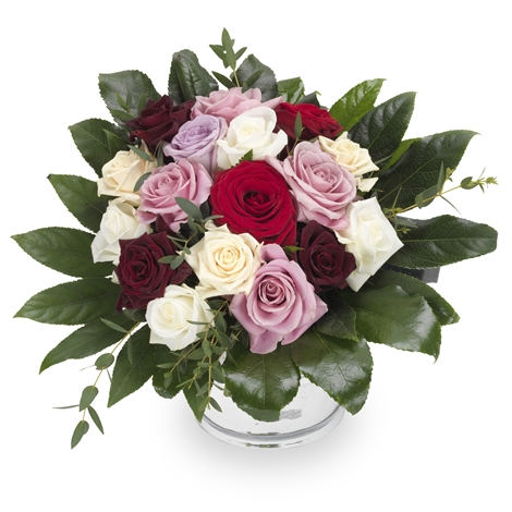 bloemen bezorgen hoofddorp morgen gemengde rozen gemengde rozen bezorgen in nederland bloemen bezorgen hoofddorp morgen gemengde rozen gemengde rozen bezorgen in nederland